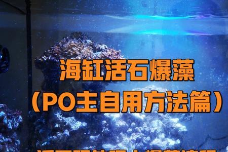 海缸活石长出白色海绵怎么处理