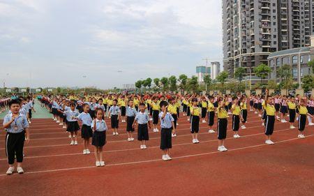 衡阳兴华小学怎么样