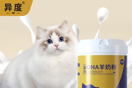 没有猫奶粉怎么断奶