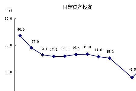 国家固定投资什么意思