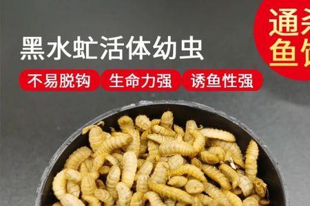 马蝇用什么药能杀