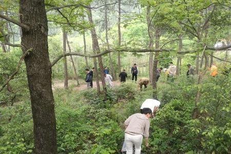 兰溪白露山爬山要多久