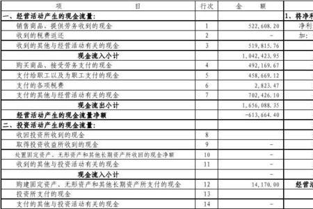 公司没有业务财务报表怎么申报