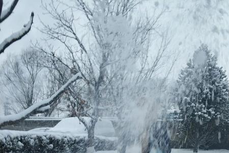 大雪纷飞下一句