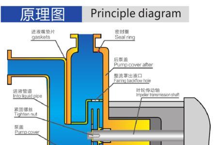 自吸泵进水和出水位置