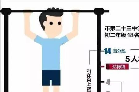 做得了15个标准引体向上