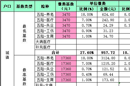 山东城乡居民社保缴费标准