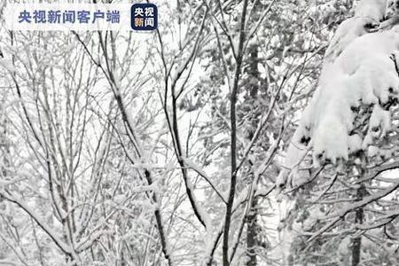 吉林哪几个城市没下雪