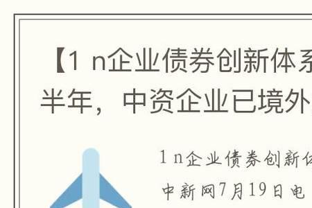 中资企业什么意思