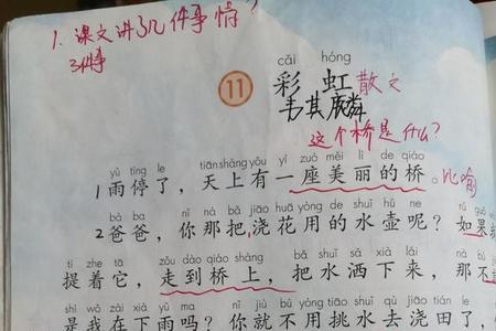 学了彩虹这一课知道了什么