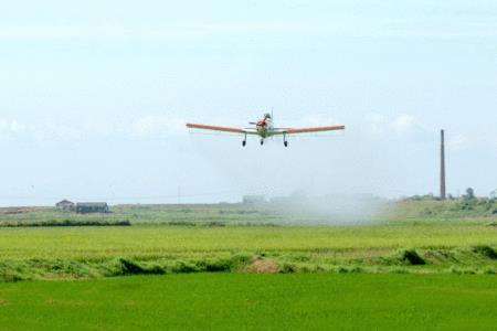 什么叫信管航空