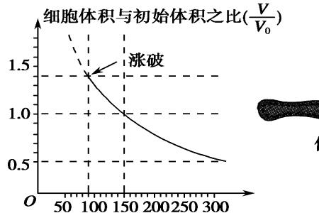 具有选择透过性的原因