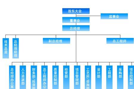 锥形组织结构是什么