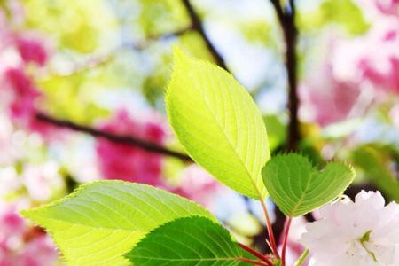 4月30是什么季节