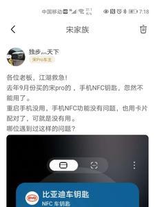 比亚迪金融审核严格吗