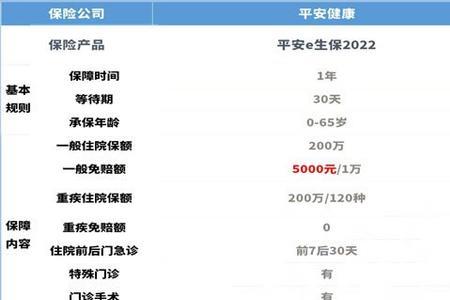 平安e生保2022与长期续保版哪个好