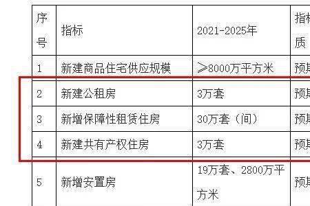 保障性租赁房一年有多少指标