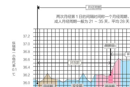 小羊几个月怀孕正常