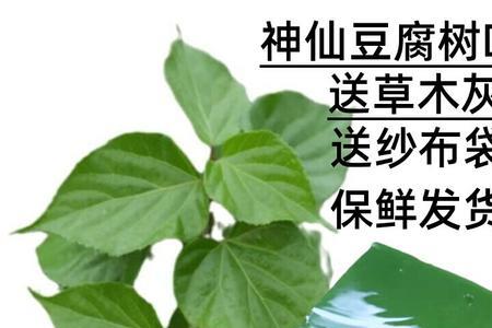 黄金叶豆腐做法