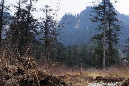 芦山大川古镇怎么样