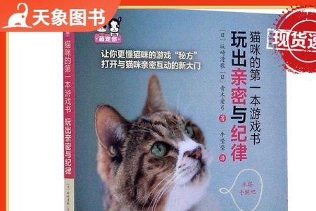 猫咪可以玩书吗