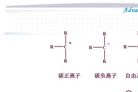 中间体近义词