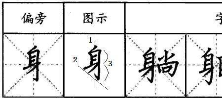 长加上月字旁读什么字