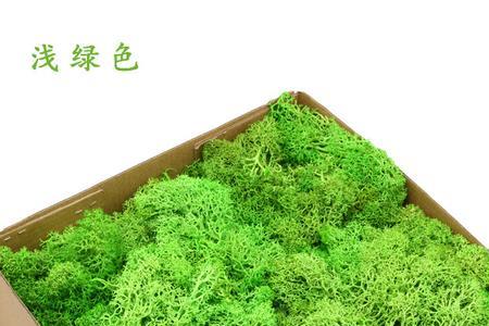 永生苔藓用什么胶粘好