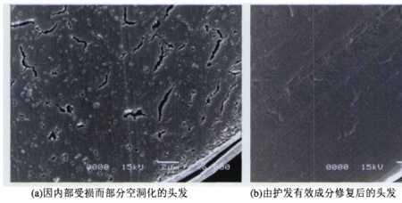 怎么分辨受损和抗拒性发质