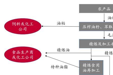 食用植物油加工属哪个行业
