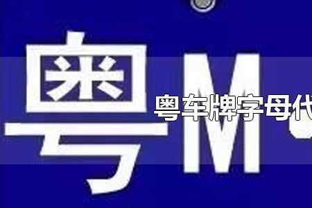 车牌最后字母a代表多少数字