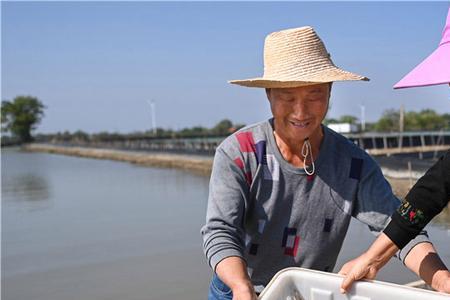 室内养青膏蟹技术全过程