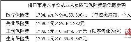 海南职工医保缴费标准