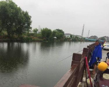 广州连续下雨几天能不能钓鱼