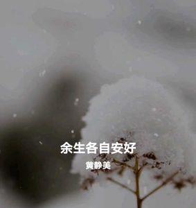 余生愿彼此安好什么意思