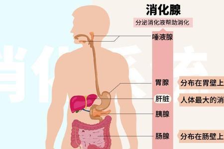 绿水算不算硝化系统完好