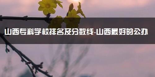 280至350分的专科大学