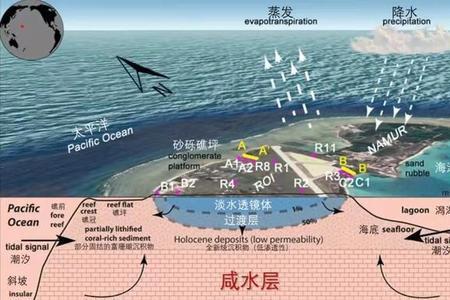 如何使淡水变成海水