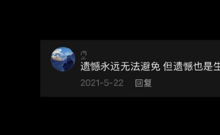 再见仍是遗憾是什么意思