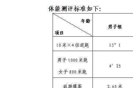 摸高跳及格标准