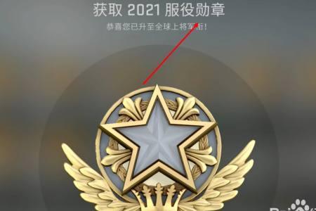 csgo通行证有勋章么