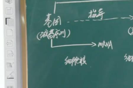 什么叫教师跨学段任教