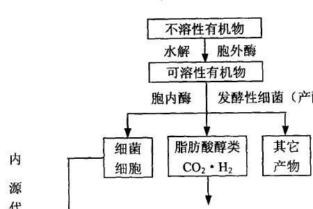 什么是自氧厌氧型生物