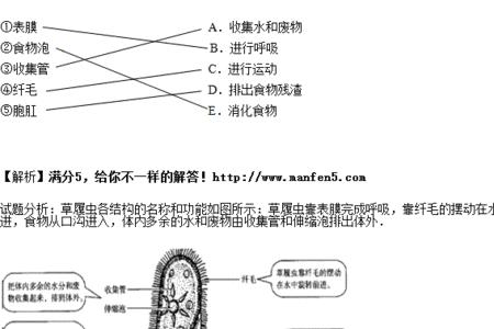 草履虫能进行光合作用吗