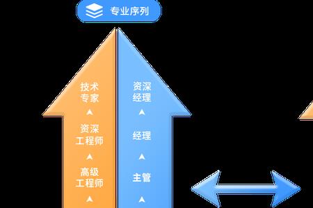 人才序列分哪几种