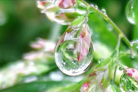 雨滴露水啥意思