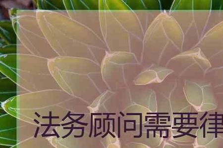 注销律师证保留执业年数吗