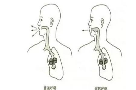 鼻呼鼻吸和鼻吸口呼的区别