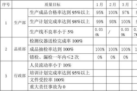 年度总体目标完成情况怎么填