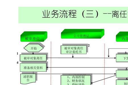 过程审计是什么意思